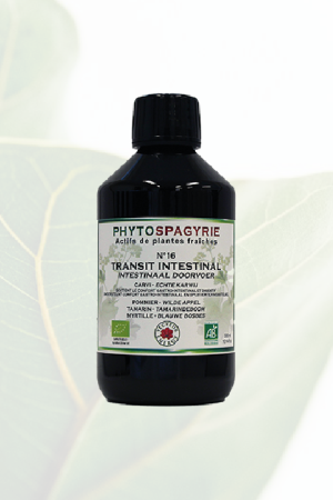 Phytospagyrie N°16 Transit Intestinal Bio